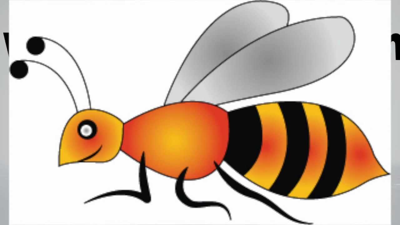 1280x720 How To Draw A Bee Step