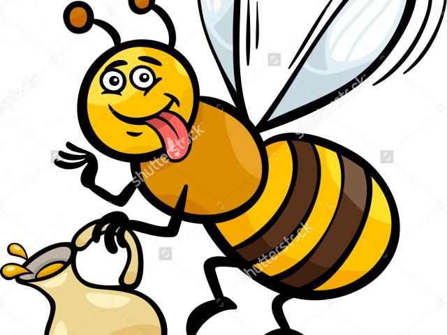 640x480 Honey Bee Drawing