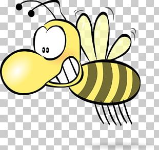 310x293 Honey Bee Drawing Bumblebee Png, Clipart, Art, Arthropod, Art