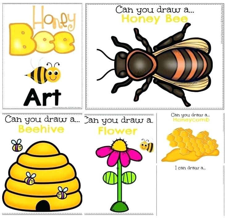 735x705 Honey Bee Drawing For Kids