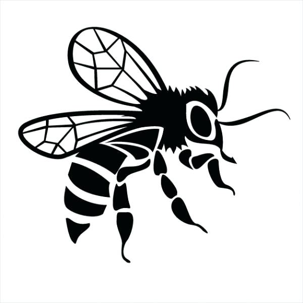 Honey Bee Line Drawing | Free download on ClipArtMag