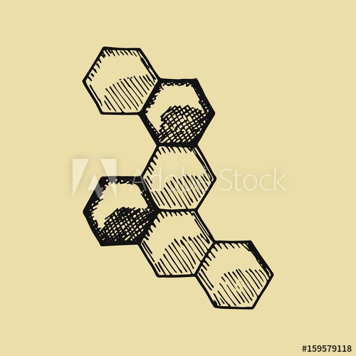 500x500 Bees Honeycomb Sketch Hand Drawing Vector