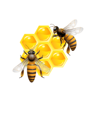 190x228 Honeycomb Pattern With Two Bees Drawing T Shirt Baseball Cap