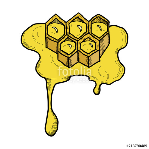 500x500 Hand Painted Honeycomb,sweet Honey, Vector Image, Colorful Drawing