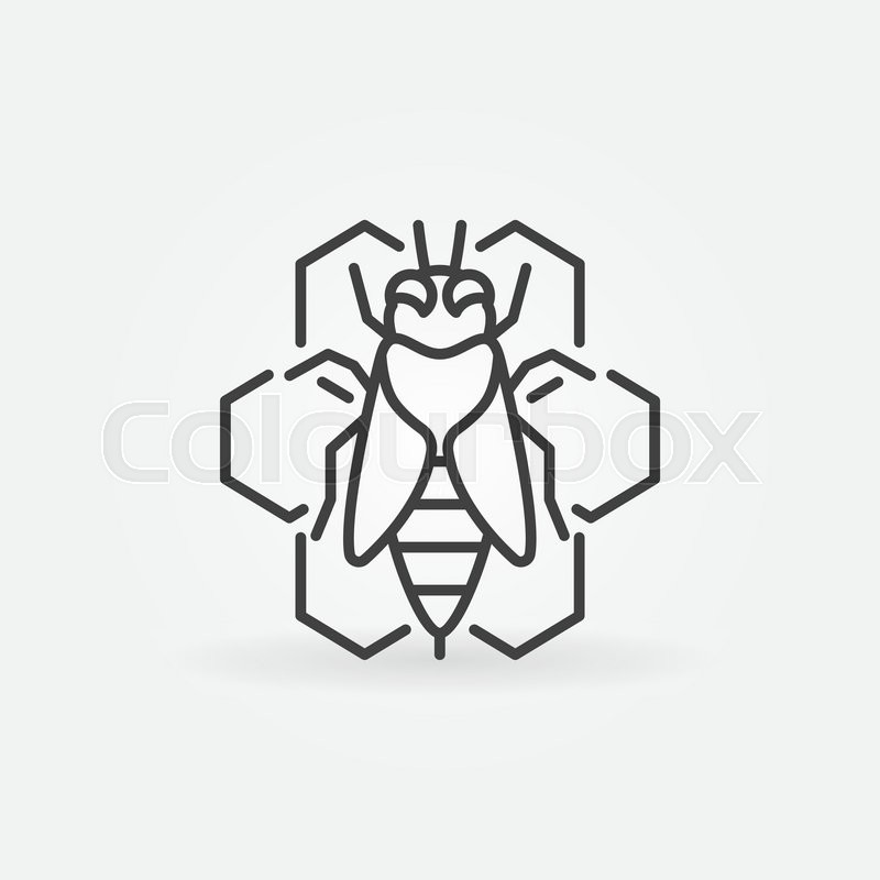 800x800 Bee And Honeycomb Outline Icon Vector Stock Vector Colourbox
