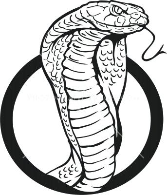 343x400 Cobra Snake Drawing Zupa