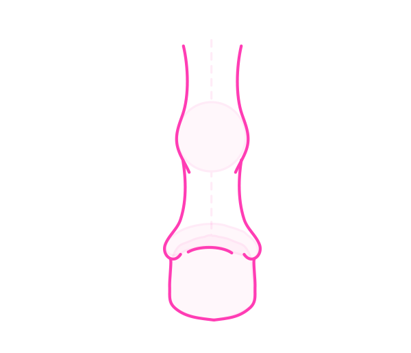 600x515 How To Draw Animals Horses, Their Anatomy And Poses