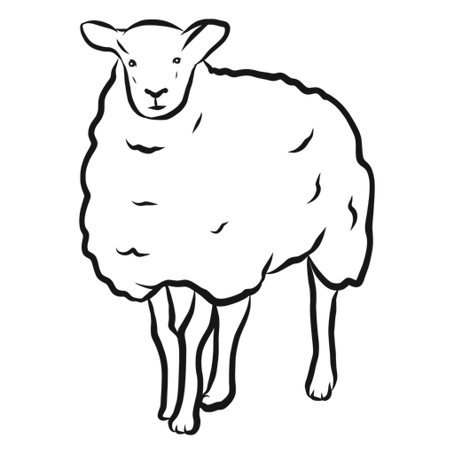 512x512 sheep wool lamb hoof sketch