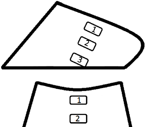 501x441 sketch drawing of the hoof of horses, indicating the proximal