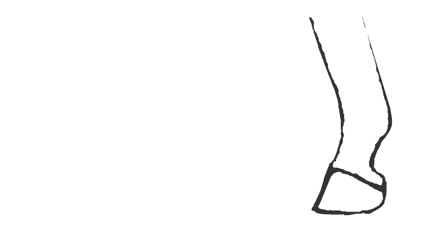 1404x782 Toe Flip Animation