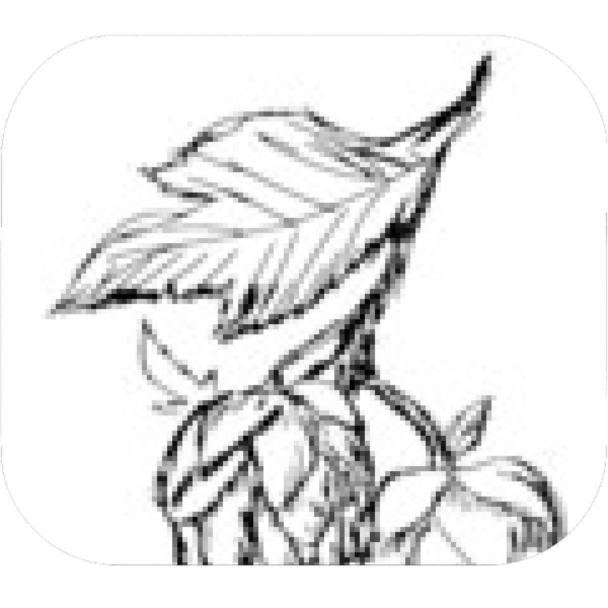 1200x1200 Designs Mein Mousepad Design Mousepad Selbst Designen