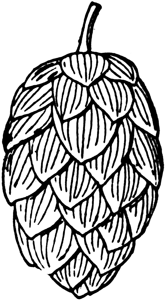 563x1024 hop hops beer art, beer label, beer poster