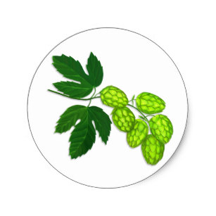 307x307 Hop Botanical Gifts On Zazzle