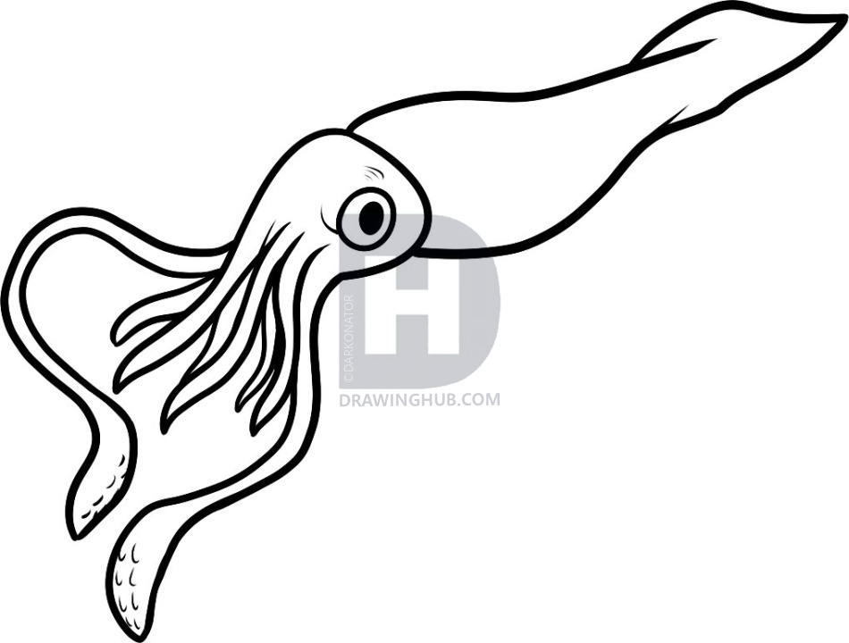 950x720 how to draw a giant squid, giant squid, step