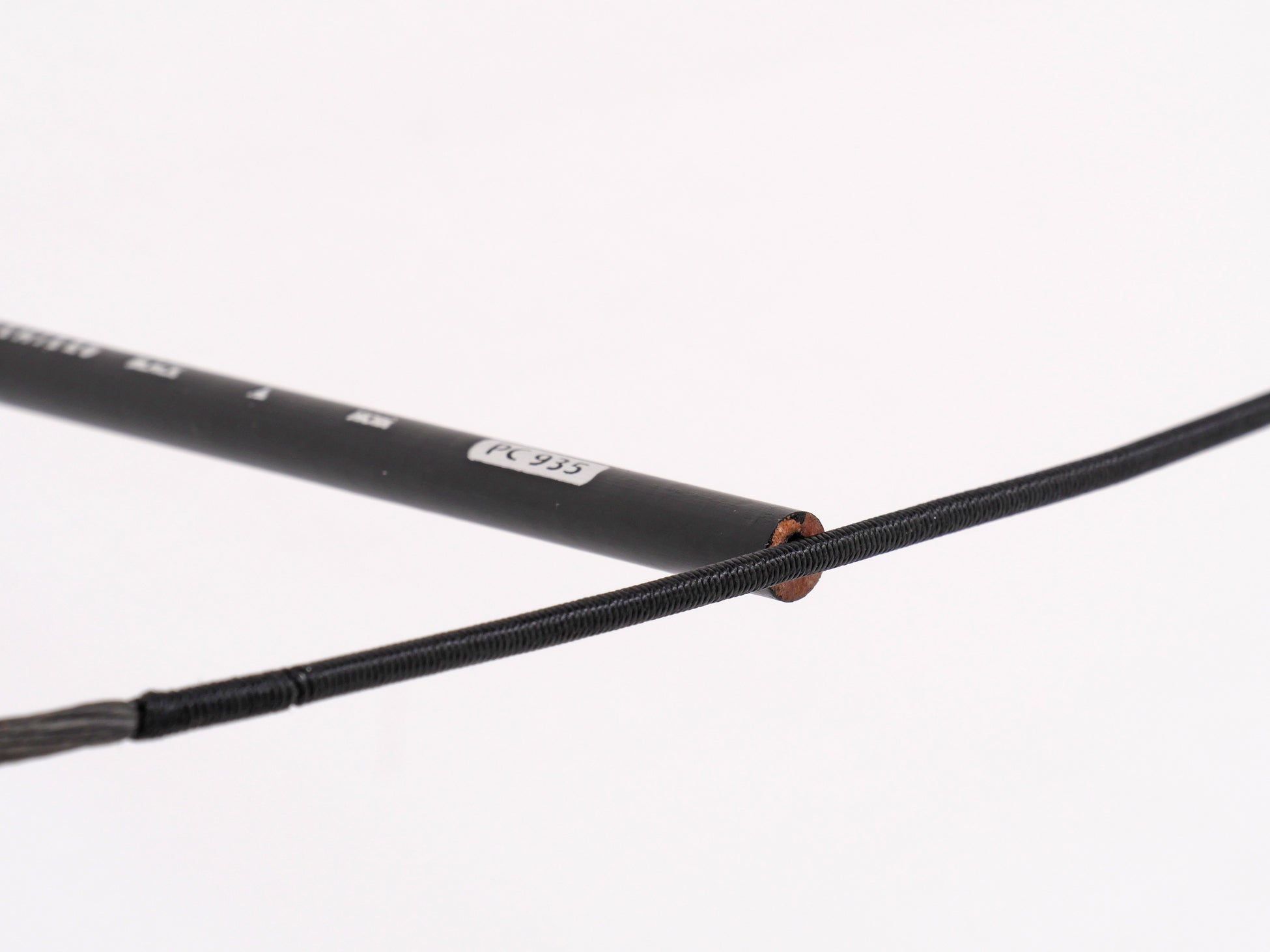 1950x1463 marco maggi