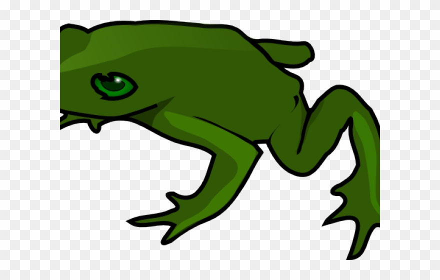 880x560 Green Frog Clipart Simple
