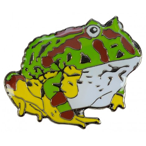 470x470 Ornate Horned Frog Clipart