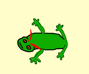 300x250 Pet Frog