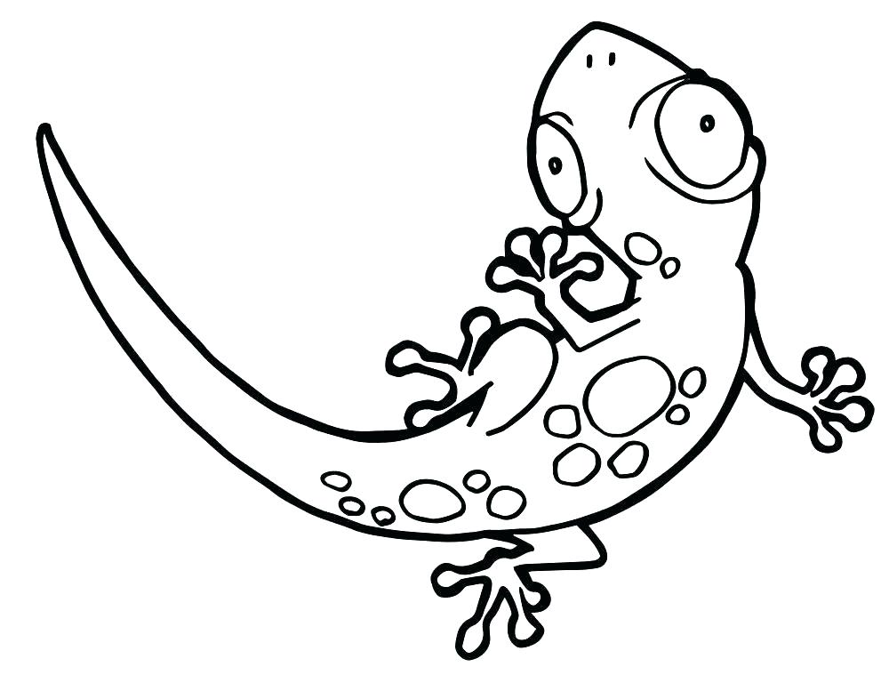 Horned Lizard Drawing