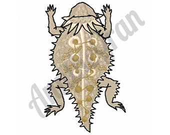 340x270 Horned Lizard Etsy
