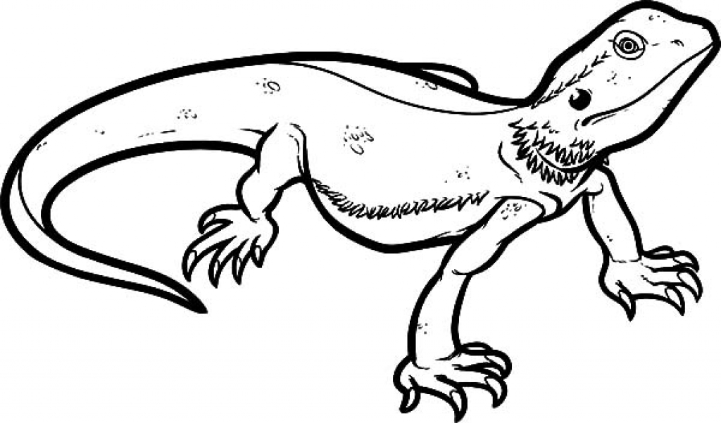 1024x601 Reptile Easy Draw