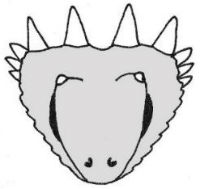 200x189 Tpwd Horned Lizard Facts