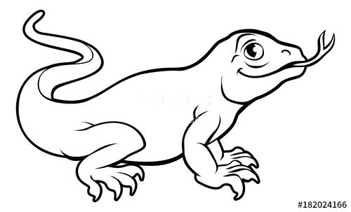 500x303 Komodo Dragon Drawing