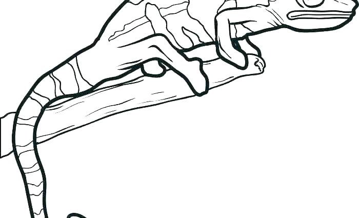 700x425 Lizard Man Coloring Pages