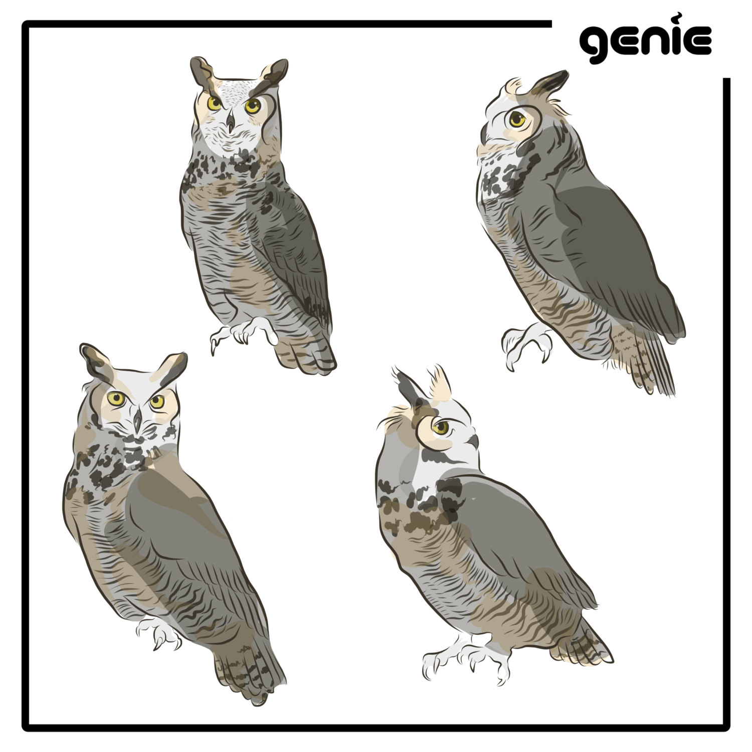 1500x1500 Great Horned Owl Bird Vector Graphic Illustration Hand Drawn Etsy