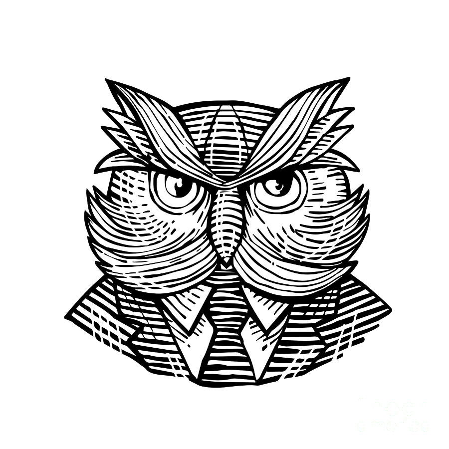 900x900 Hip Wise Owl Suit Woodcut Digital Art