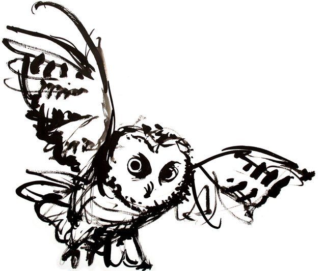636x533 Flying Owl