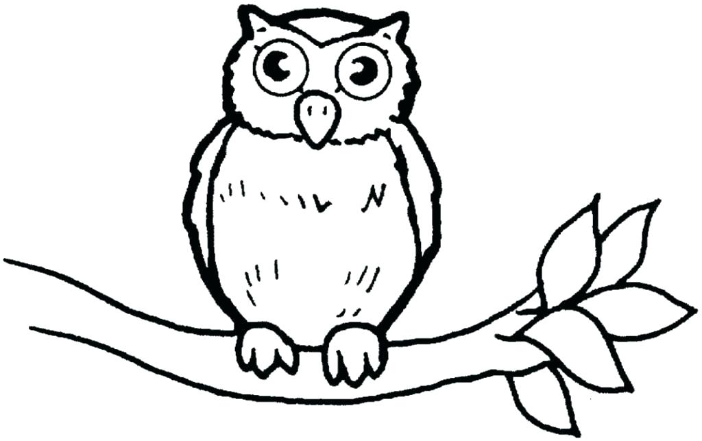 1024x643 Great Horned Owl Coloring Pages Felixbot