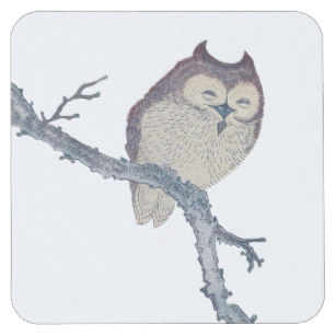 307x307 Cute Owl Drawing Drink Beverage Coasters