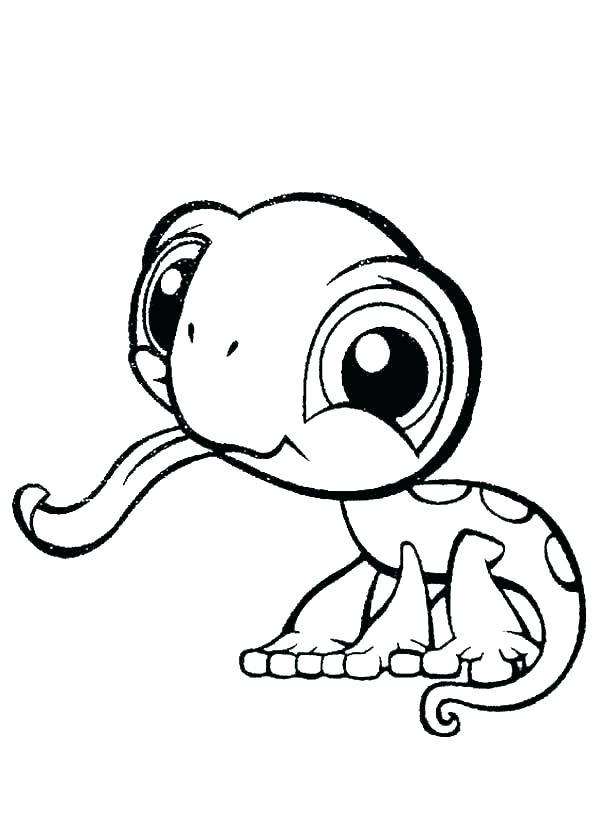 600x840 Desert Lizard Coloring Pages Grassland