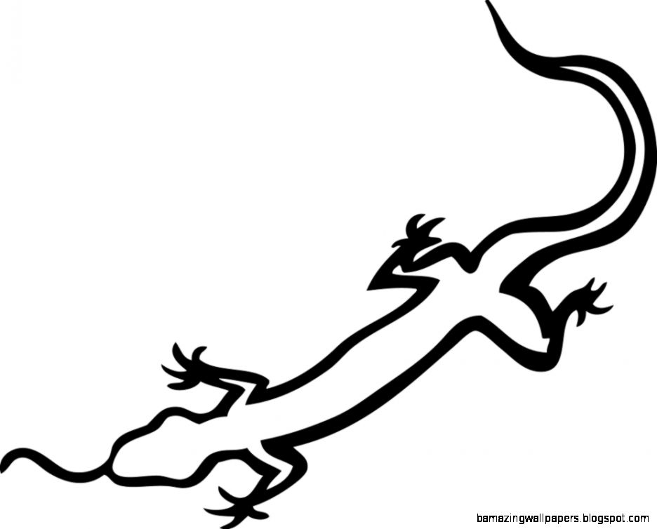 936x754 Lizard Drawing Free Download
