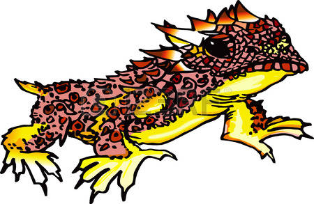 450x293 Ornate Horned Frog Clipart