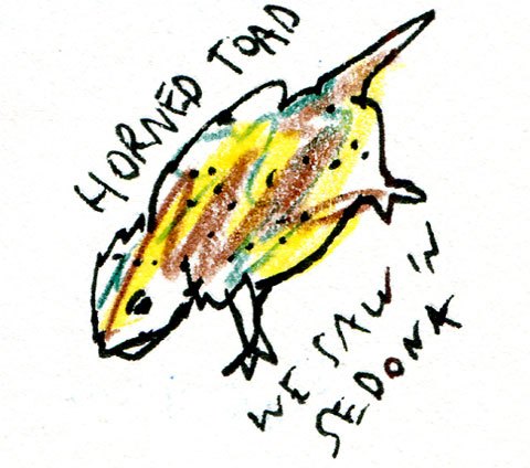 480x424 Sketchbook Swizzle Studio