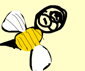 300x250 Hornet Drawing