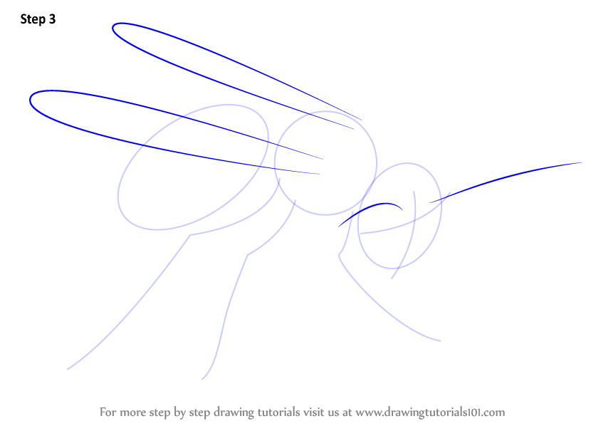 844x598 Learn How To Draw A Hornet