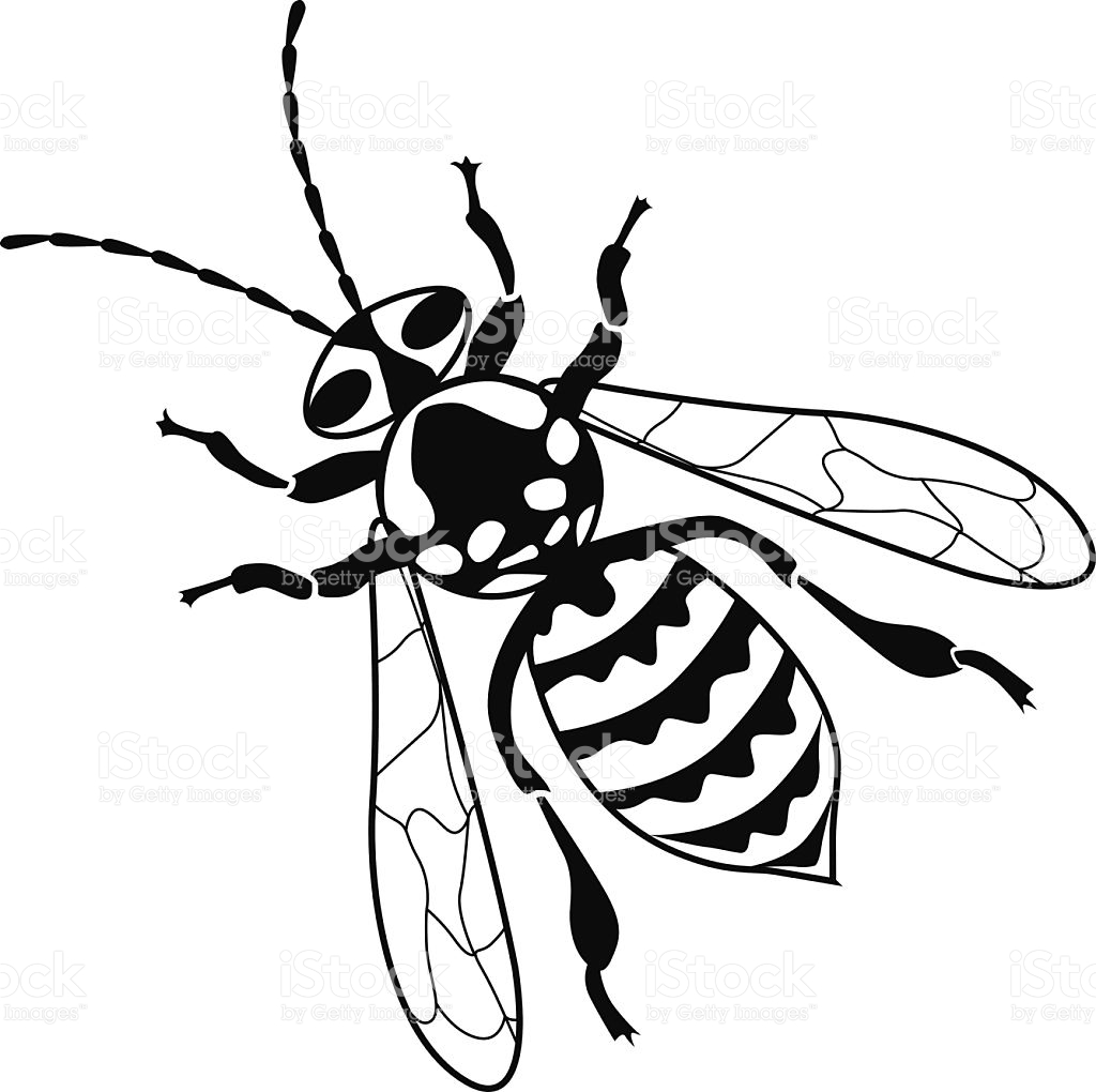 1024x1020 Collection Of Free Hornet Clipart Yellow Jacket Amusement