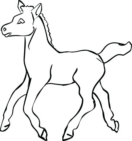 432x462 foal coloring pages horse and foal coloring pages home improvement