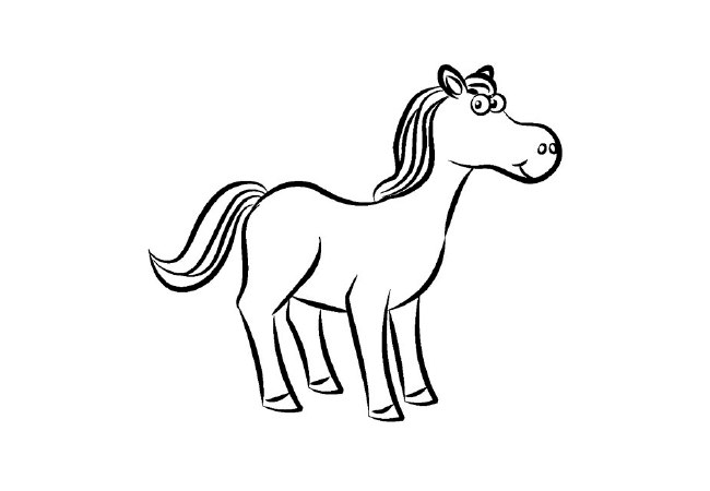 650x450 Horse Template