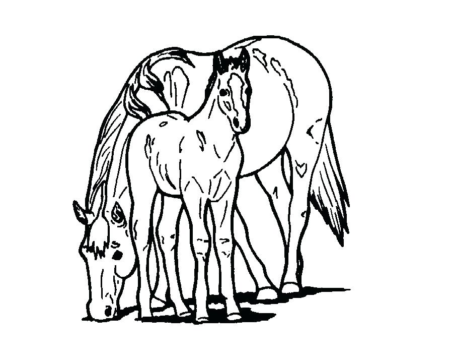 900x720 Printable Horse Stencils Horse Foal Coloring Book Child Mare