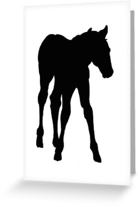 277x415 Baby Horse, Silhouette, Horse, Foal, Drawing Greeting Cards