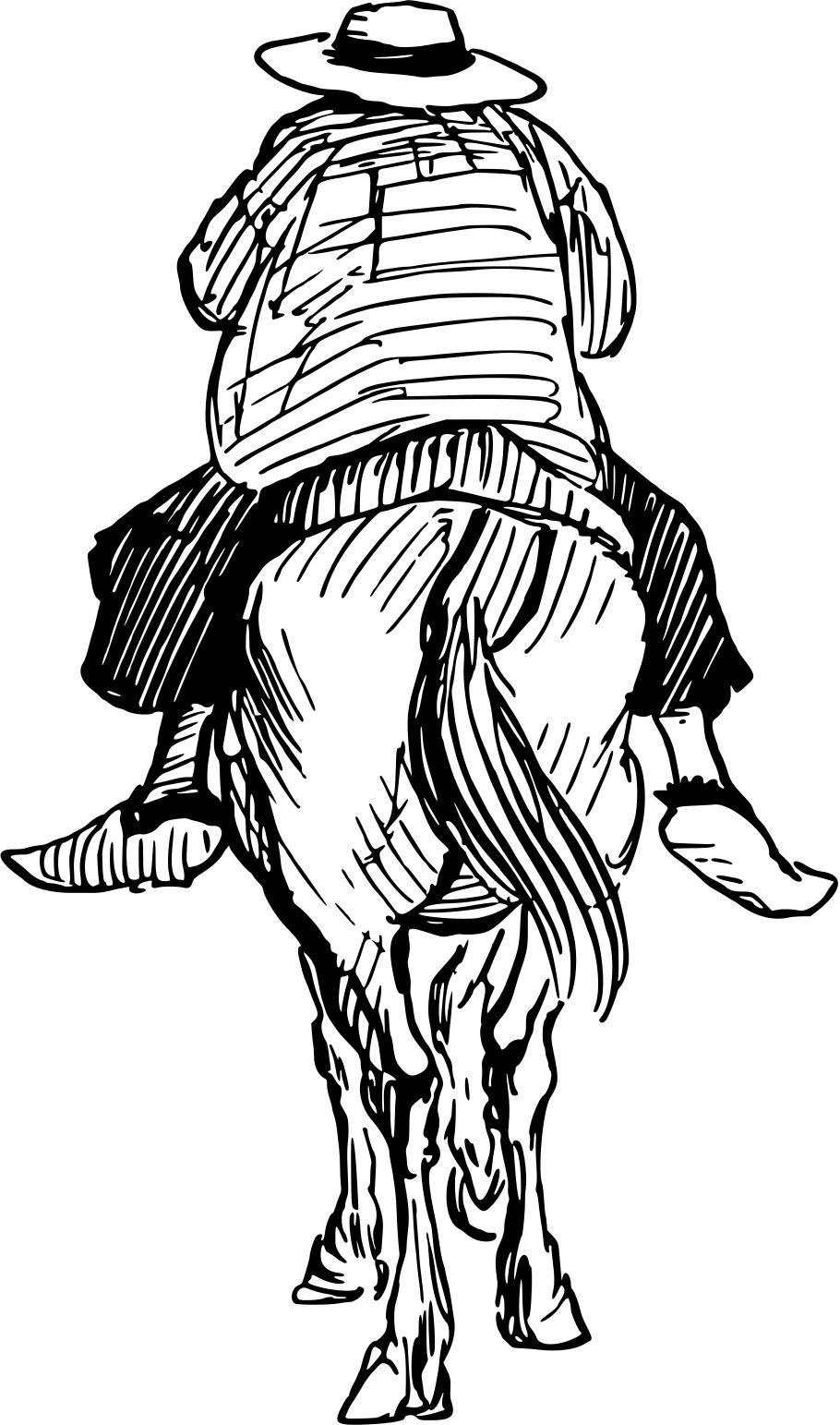 910x1543 Horse And Rider Clipart