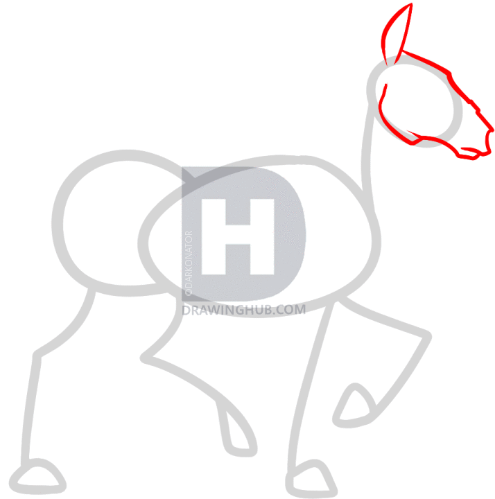 714x720 How To Draw A Horse Rider, Step