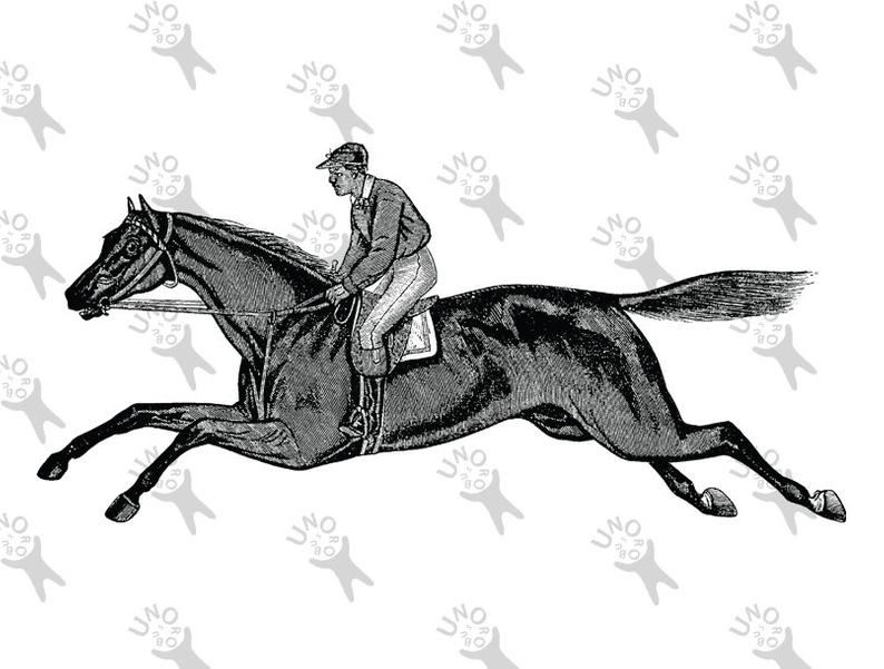794x601 Vintage Race Rider Horse Steed Instant Download Picture Etsy