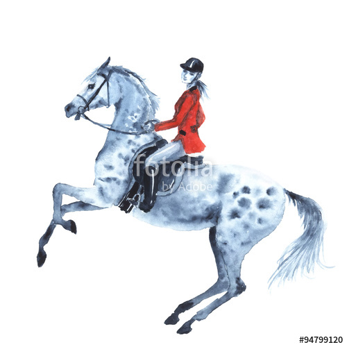 500x500 Watercolor Rider And Dapple Grey Horse On White Horseman Girl