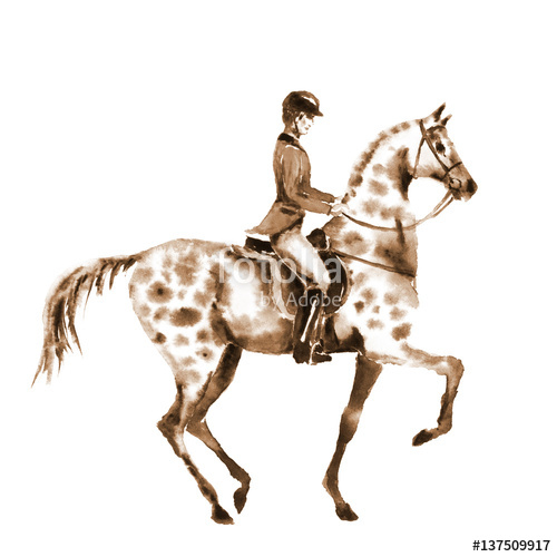 500x500 Watercolor Sepia Rider And Horse On White Horseman In Jacket