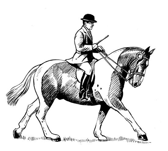 550x493 Horse Rider Drawing
